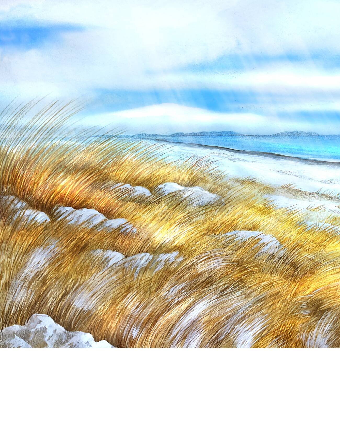 Golden seagrass and snow along the crescent Maine shoreline where the story is set.